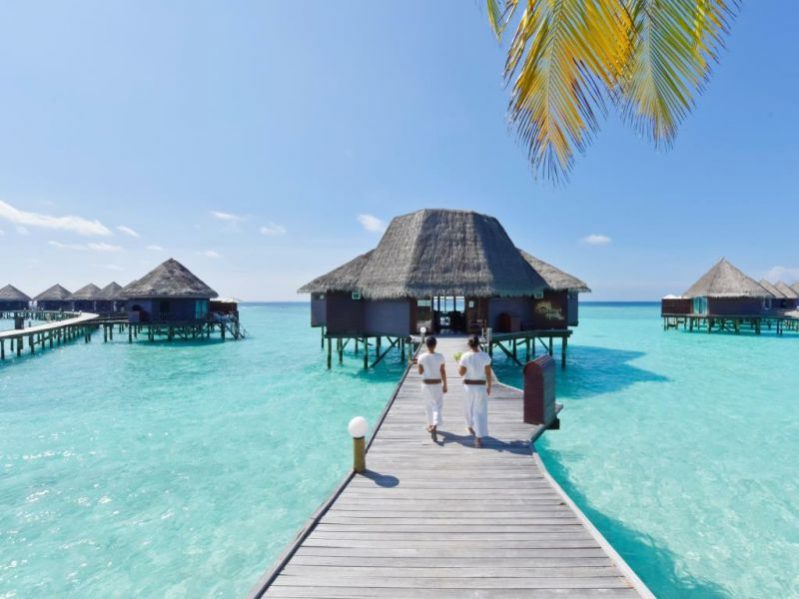 马尔代夫蕉叶岛游记,马尔代夫蓝色美人蕉岛的游记