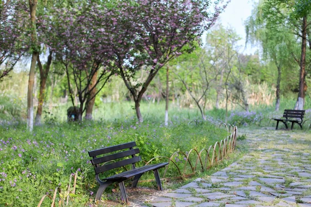 沙家浜旅游推荐,沙家浜夜游都有哪些好玩的