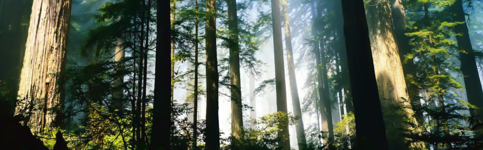 设计师免费素材库大全无水印高清,设计师高端素材库推荐