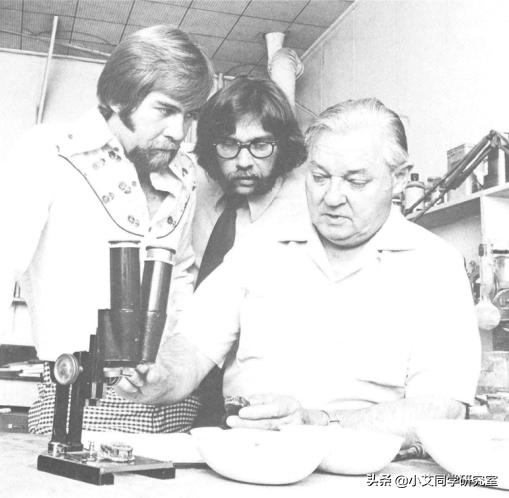 祖母绿的形成原理视频,祖母绿的历史