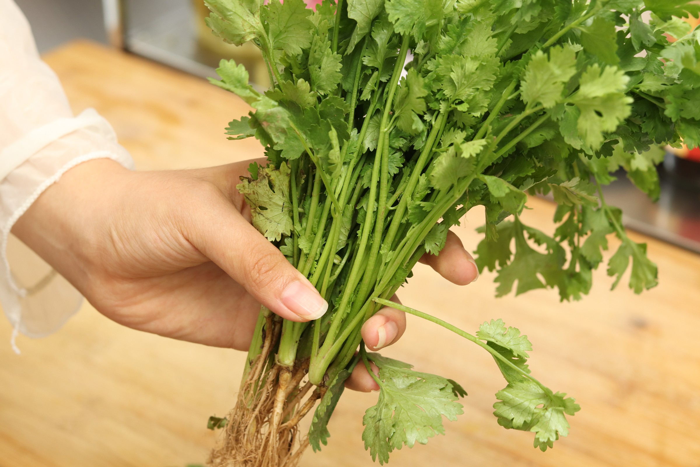 吃不完的香菜怎么保存,吃不完的香菜怎样再栽培