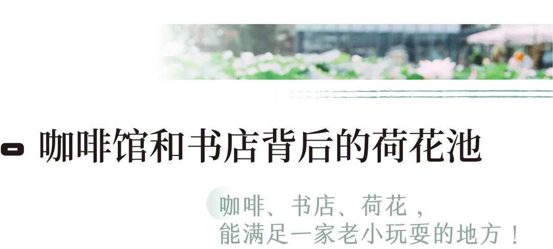 周末去哪里玩成都室内,周末去哪儿玩儿成都周围