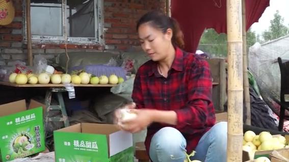 种植什么香瓜品种好吃又甜,怎样种香瓜产量高还甜和大