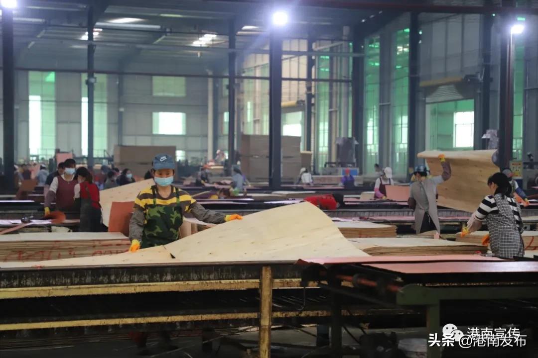 新年有“犇”劲！港南开启复工加速度