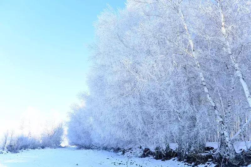 冬天的阿勒泰冰雪,冬天的雪冰雪奇缘