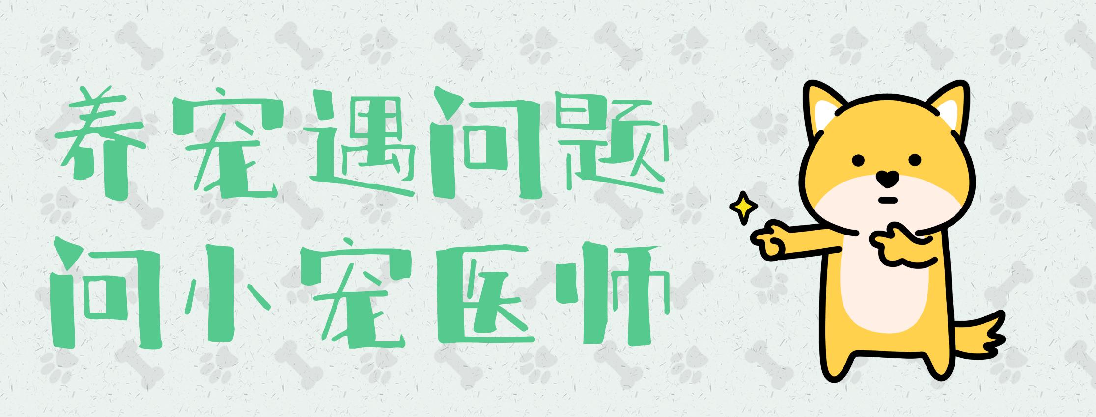 毛孩子春季驱虫的重要性,春季宠物驱虫指导大全