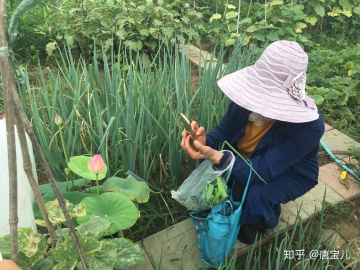 如何提升花种成活率,花种种植生活小技巧