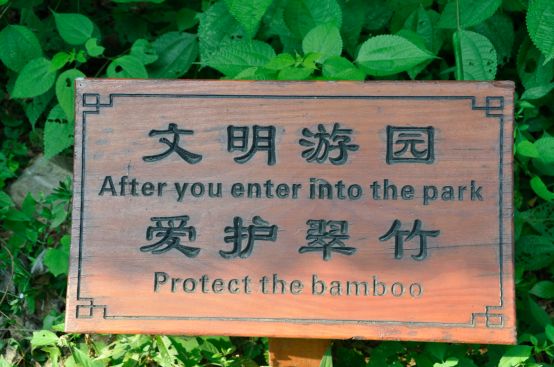 瀹滃叴绔规捣璇︾粏鏀荤暐,瀹滃叴绔规捣娓稿鏀荤暐