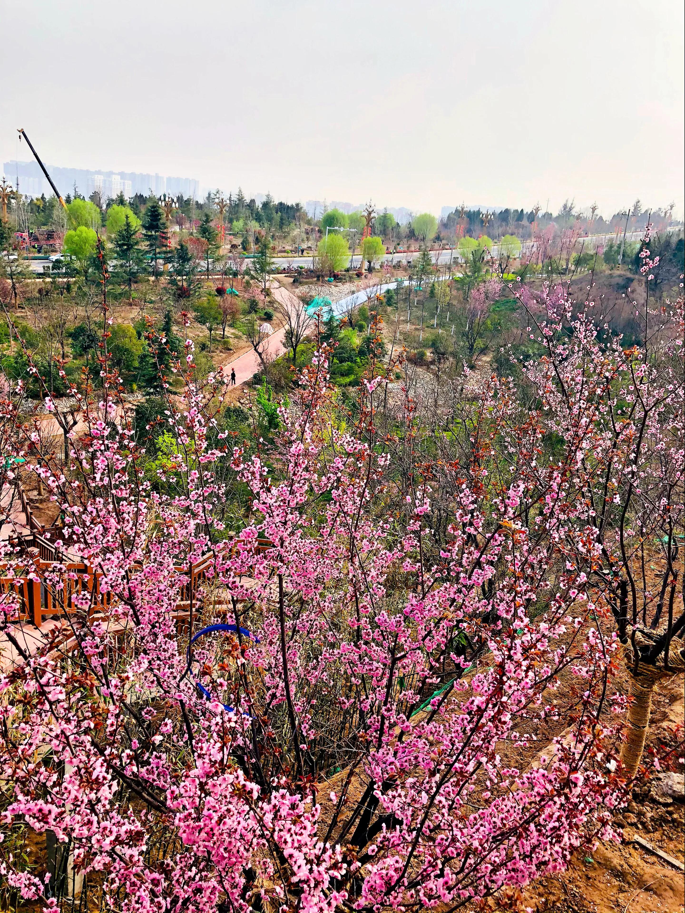 金塘半日游,白鹿原一日游攻略