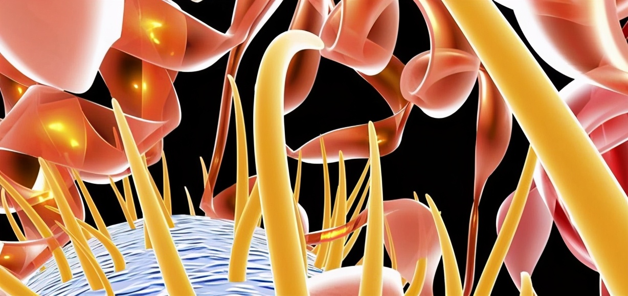 孕期妈妈便秘怎么缓解最有效,怀孕解决便秘最有效的方法