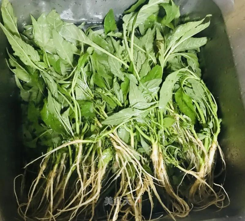 半斤苋菜含多少草酸,一两苋菜一两金啥意思