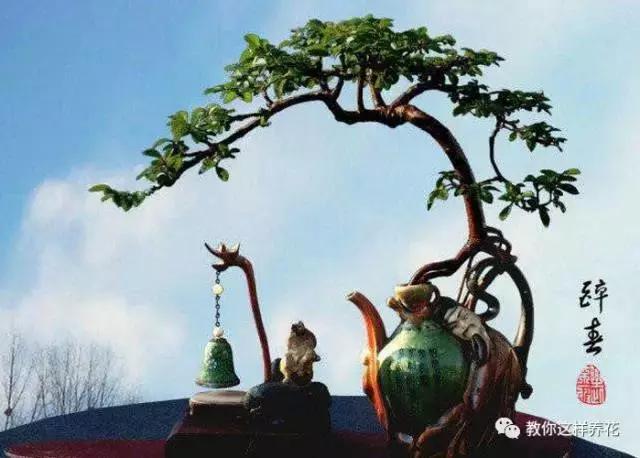 切割陶瓷酒瓶做花盆最简单的方法,没有工具怎么把陶瓷酒瓶弄成花盆