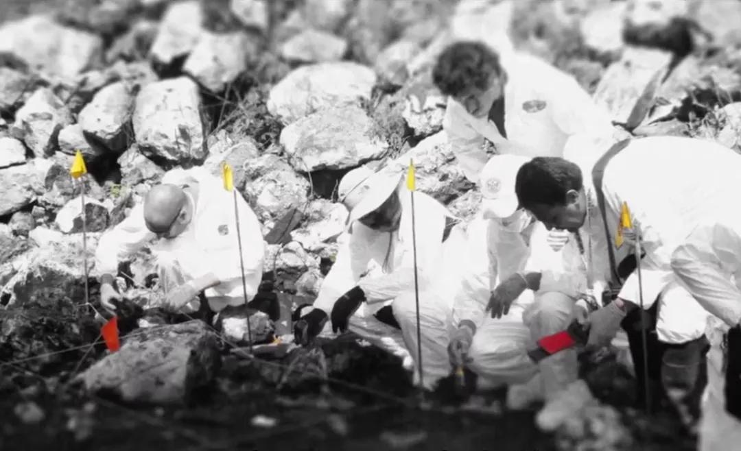 墨西哥43名大学生凭空消失?不,是警方与毒枭的一场谋杀