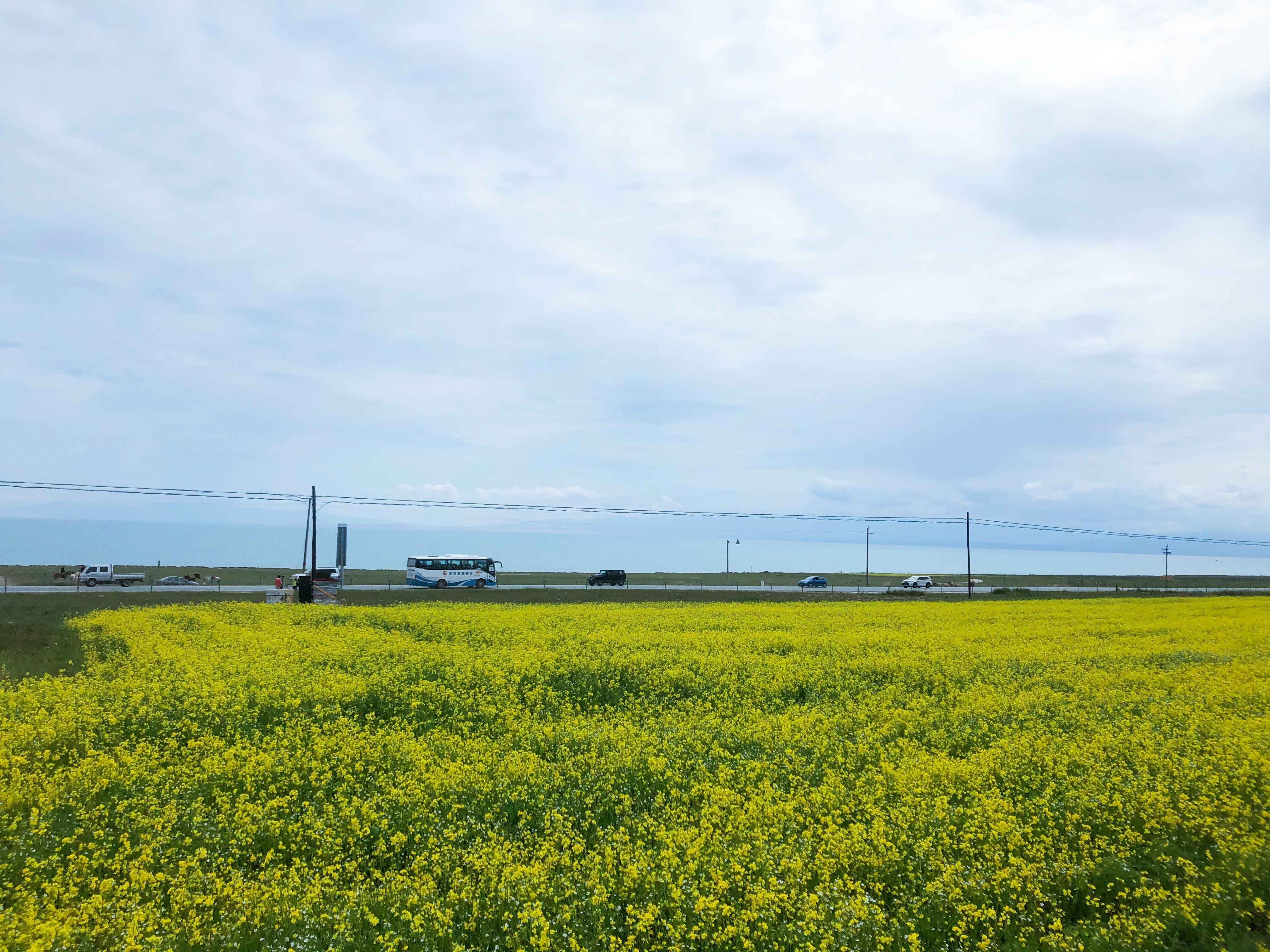 成都到茶卡自驾七天,成都到青海湖茶卡盐湖路线怎么走