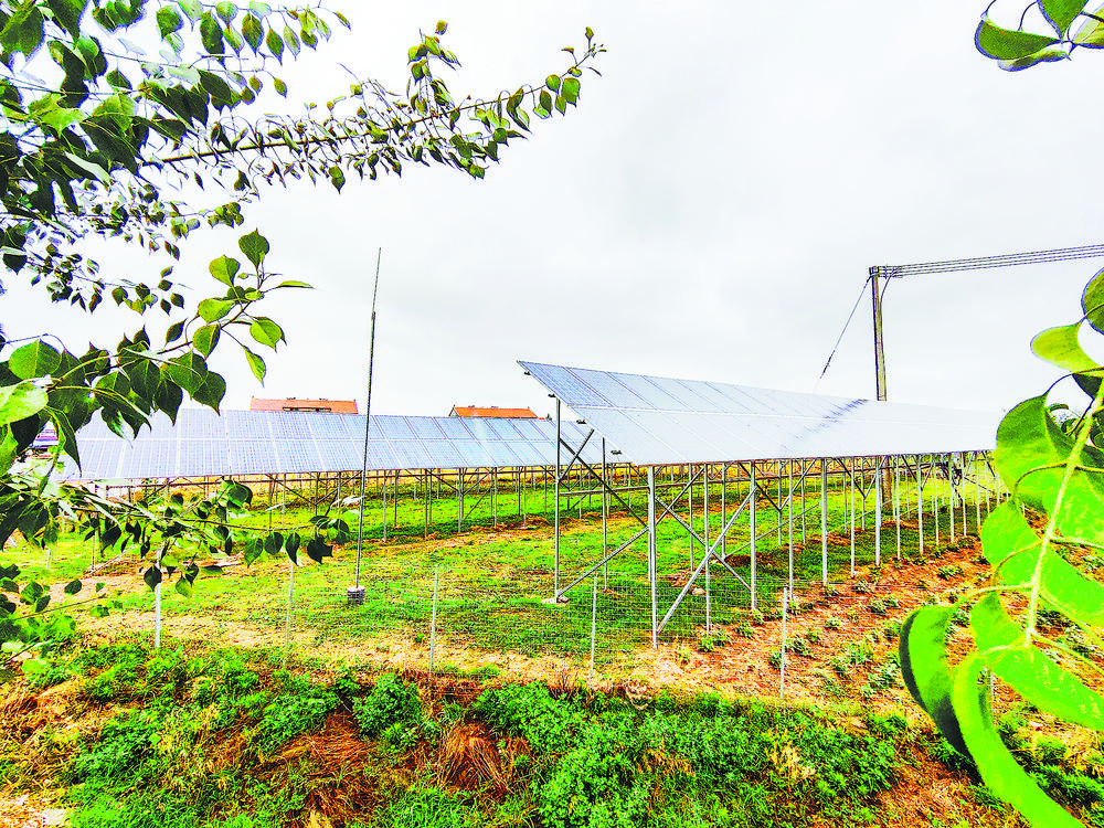 成武县天宫庙镇翟楼村：龙头企业带动共建美丽家园