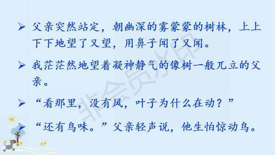 部编版父亲和鸟课件,父亲树林和鸟ppt教材解析