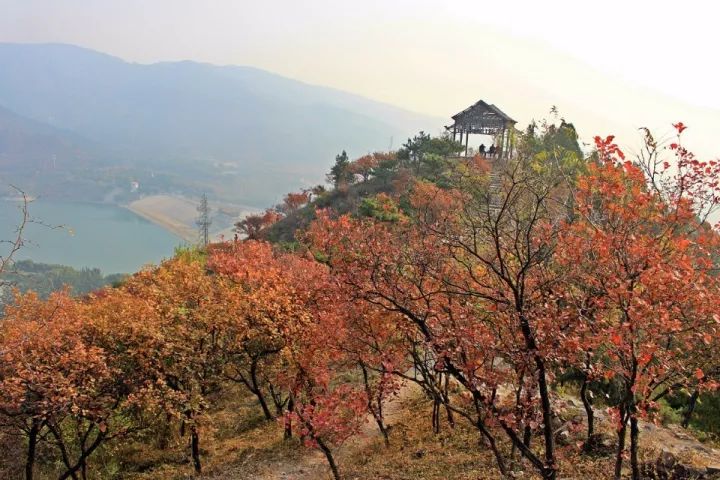 昌平最美的秋景在哪里,北京最美的秋景赏叶胜地香山公园