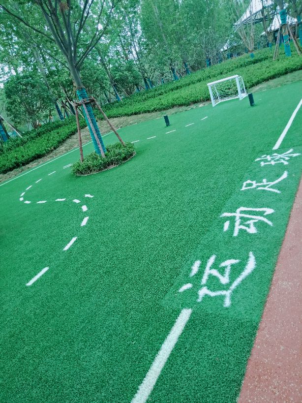 幸福林带散步,幸福林带晨练