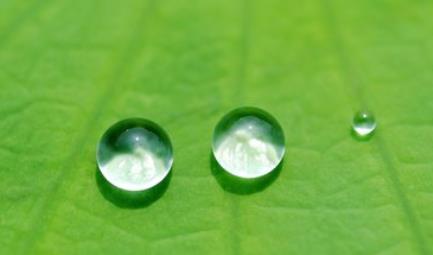 谈钱真的可以看清一个人吗,要看清一个人的句子