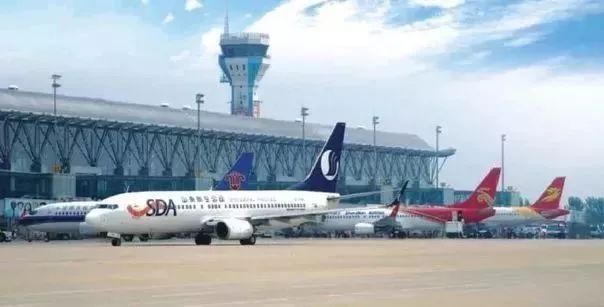 请回答郑州青年,请回答1988完整视频