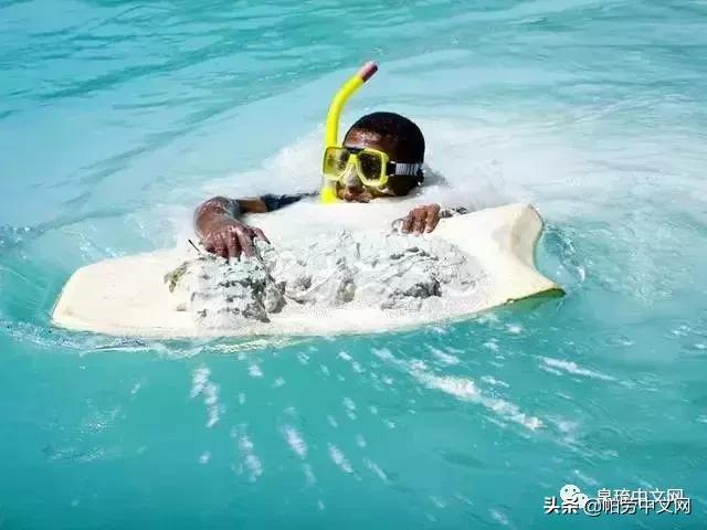 帕劳是哪个国家,帕劳群岛是哪个国家