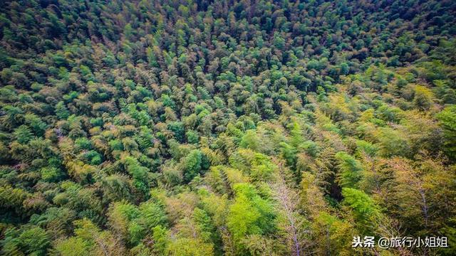 天目湖加南山竹海哪里泡温泉好,天目湖度假秘境享受绝美自然山水