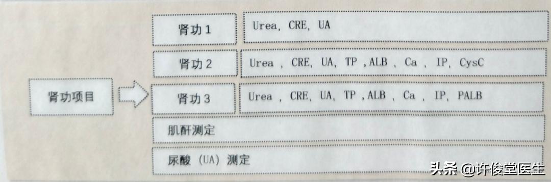 临床生物化学常规检验项目,临床生化检验项目及临床意义