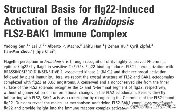 一文解决中英参考文献混排问题,一文搞定英语写作技巧