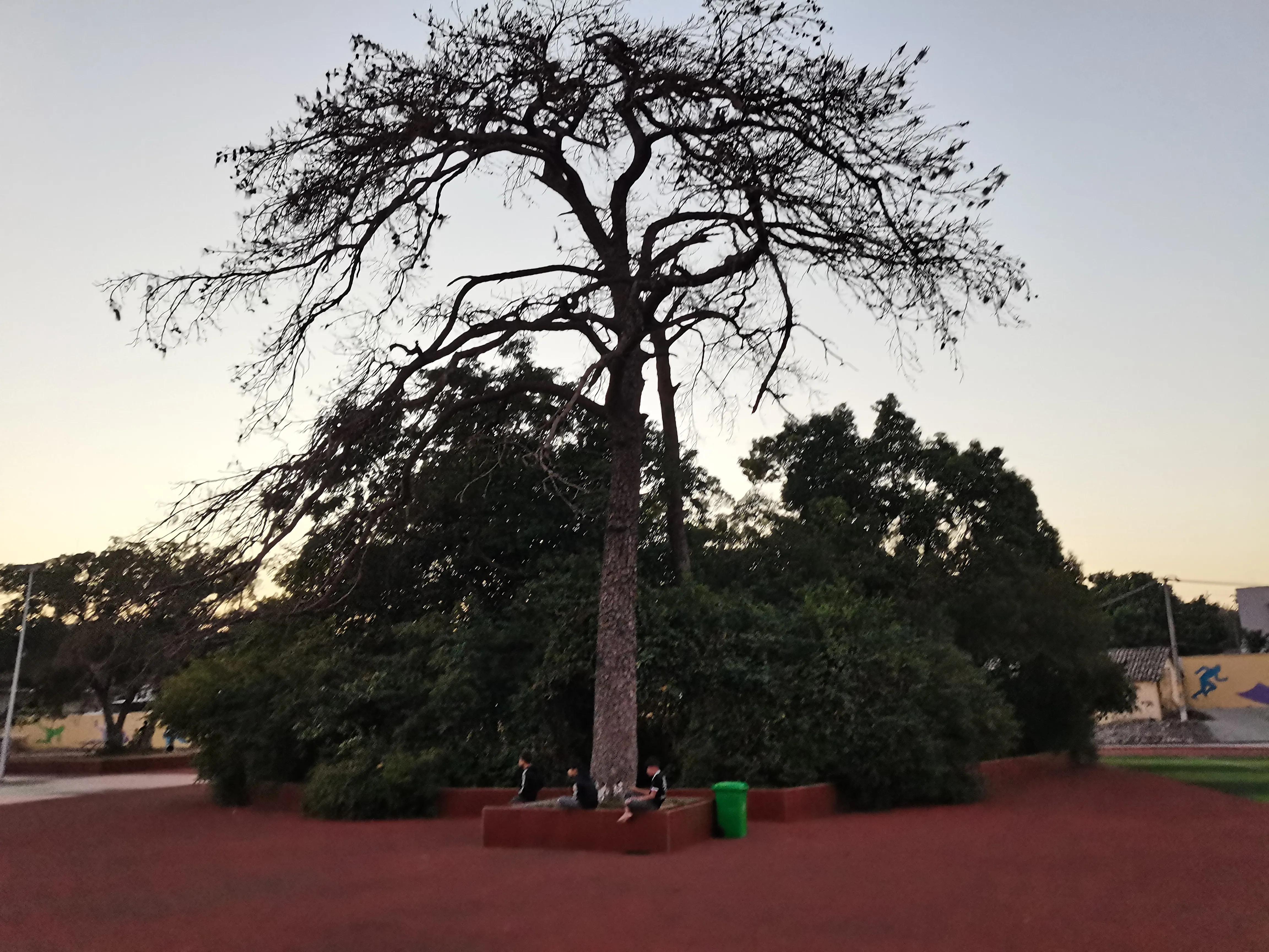 乌中,黄昏即景开头