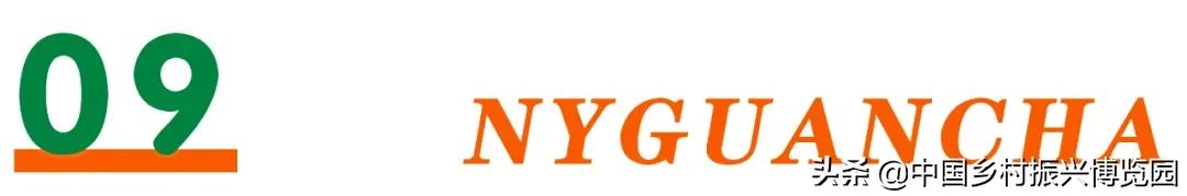 乡村振兴产业方面存在的问题,乡村数字化建设赋能产业振兴