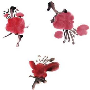 国画梅花上的雪画法步骤教程视频,零基础国画入门画梅花教程