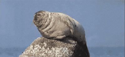 打哈欠打嗝怎么控制,打嗝放屁打呼噜是什么病