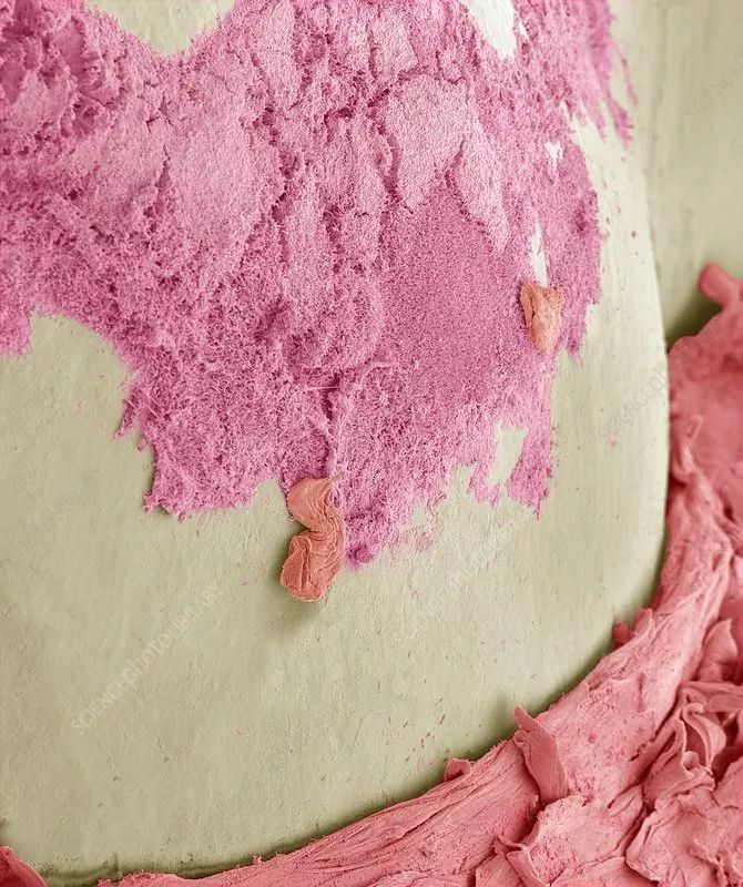 孩子嘴里味道很怪,儿童嘴里有消化不良的味道