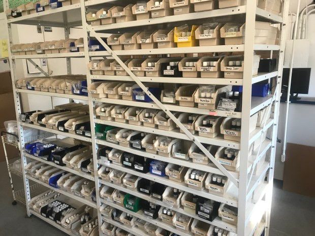 鑺崇枟绮炬补鍝佺墝,鑺崇枟鍝佺墝