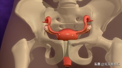 中医精油腹部卵巢推拿按摩,精油按摩保养卵巢