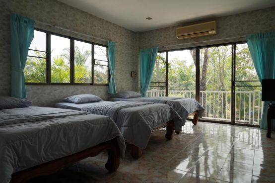 清迈大象义工,清迈大象救助营