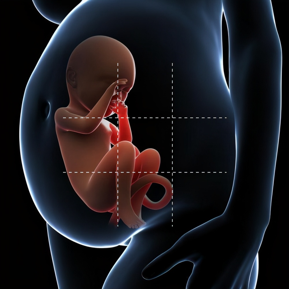 怀孕的基本常识,老婆怀孕老公应该普及的常识