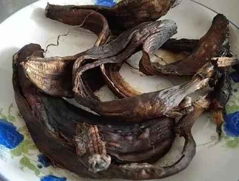 富贵竹黄叶了怎样补救不长根,富贵竹叶子没有生根发黄怎么办