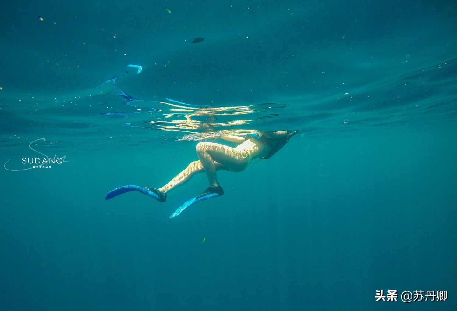 极限潜水死亡名单,潜水的死亡率高