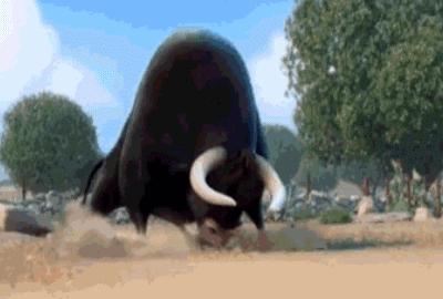 牛搞笑表情动图gif图片,牛的搞笑段子