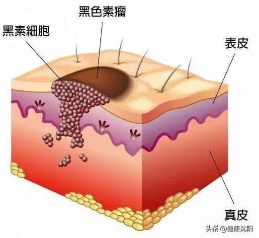 健康科普堂简介,健康科普堂作品