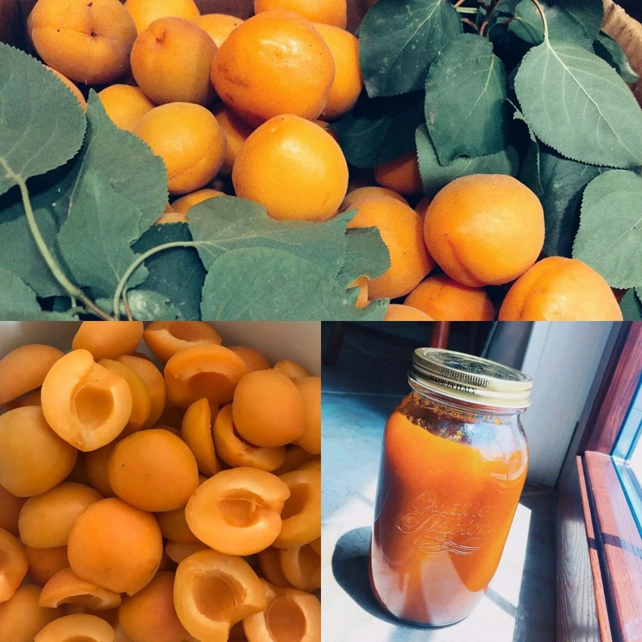 疫情过后再去看看风景,疫情结束后的人间仙境