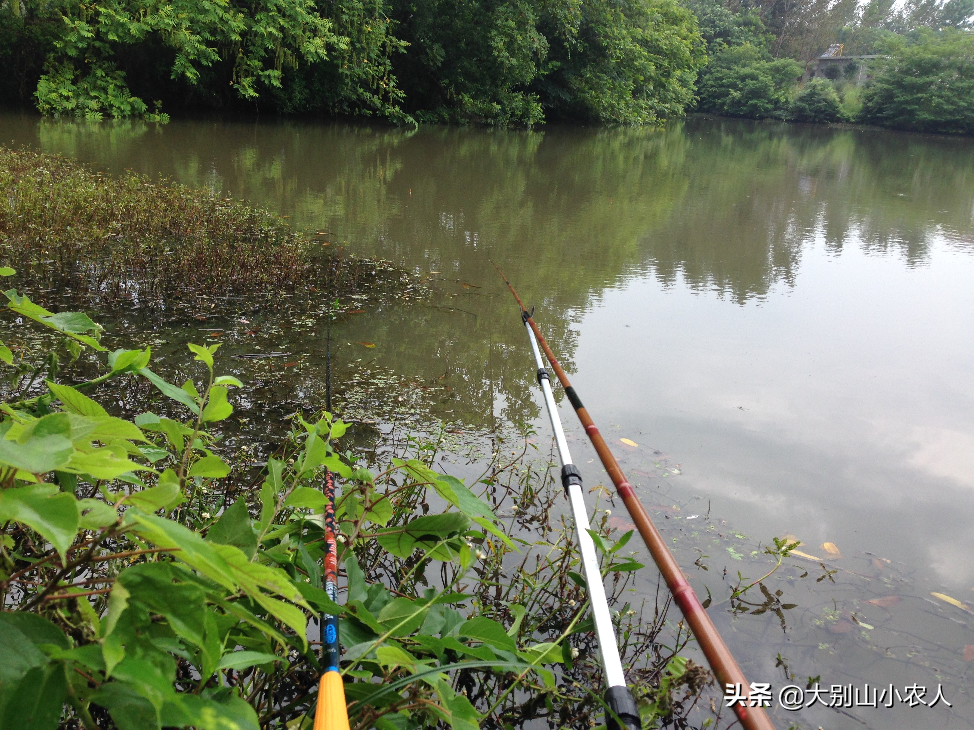 虾闹窝的最佳治疗方法,野钓避虾最好的方法