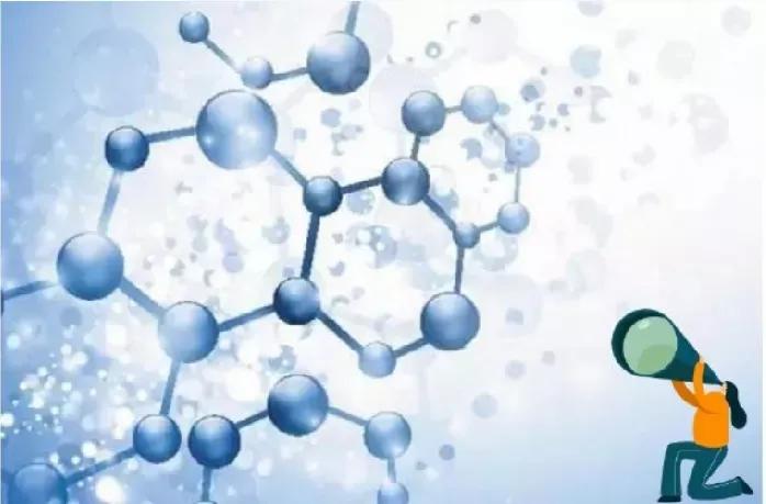 生命的基础蛋白质讲解,生命三大要素蛋白质