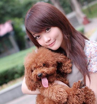 泰迪几个动作说明它爱你的表现,泰迪做出不雅动作怎么制止