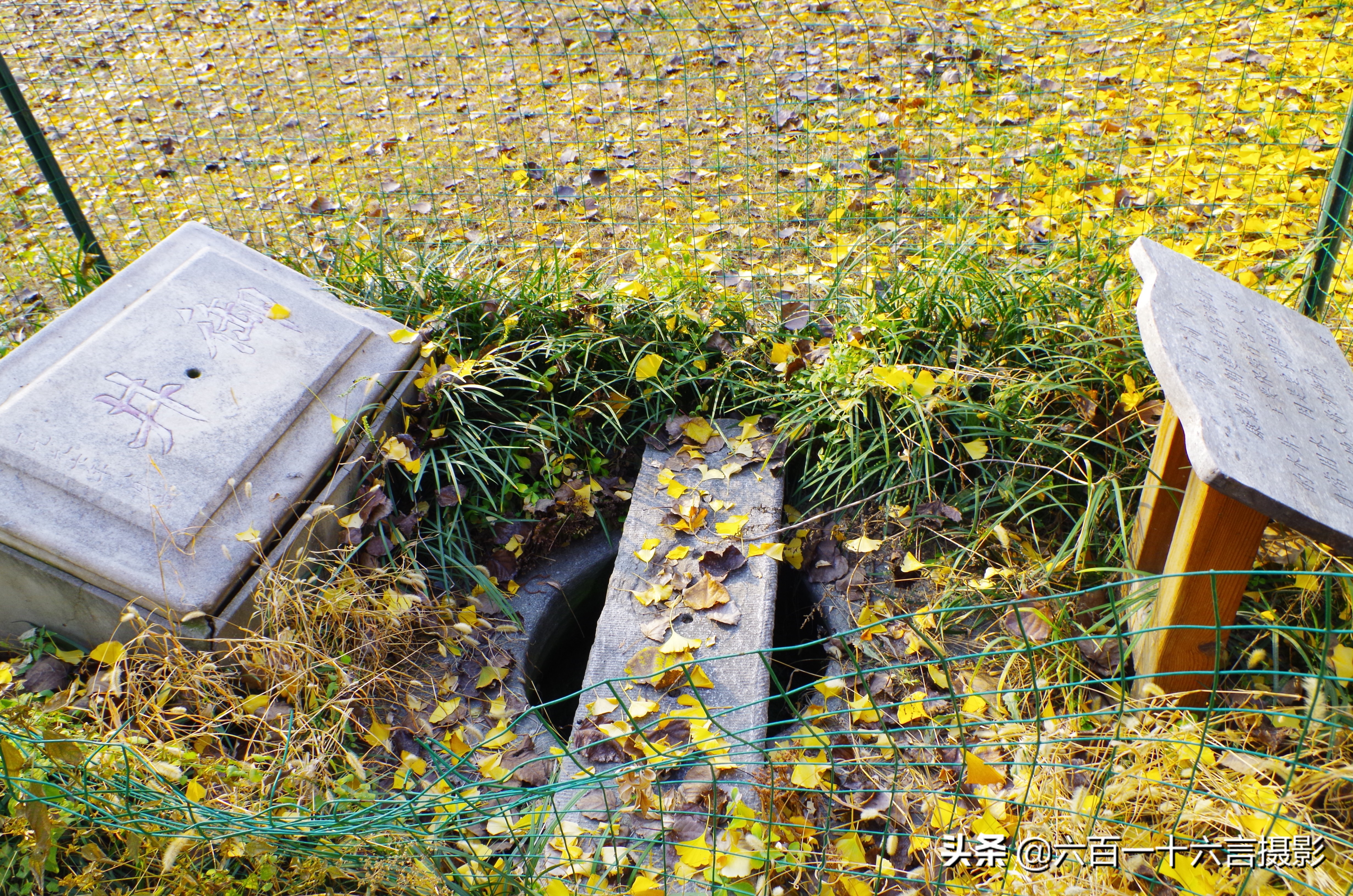 这里是正定04:传说中的御井长这样