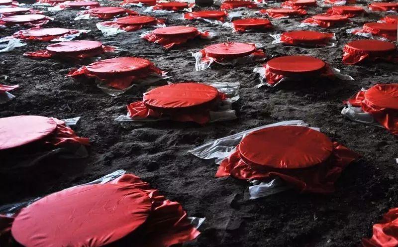 蜀人原乡完整版,三贤故里长寿之乡资阳