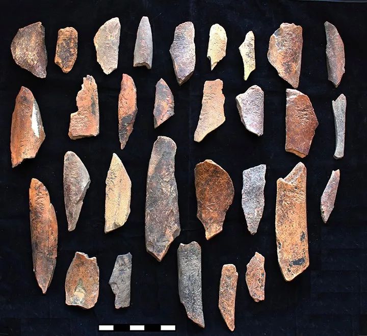 西伯利亚挖掘猛犸象化石,西伯利亚挖出猛犸象遗骸