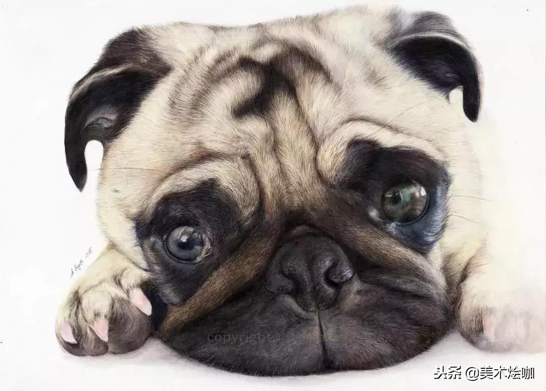 彩铅画教程超写实零基础入门,超写实彩铅画高清大图水果组合