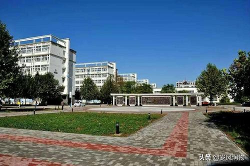 沧州师范学院属于什么水平的大学,沧州师范学院河北省排名